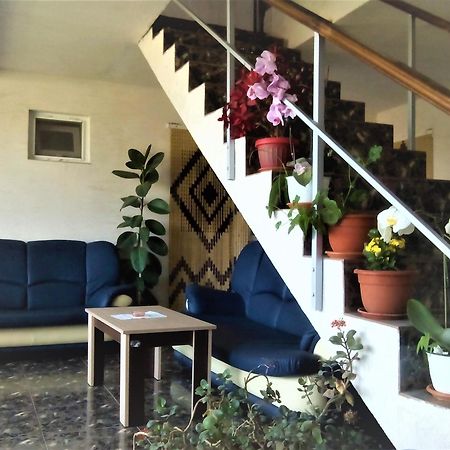 Vila Nico คอสติเนช ภายนอก รูปภาพ