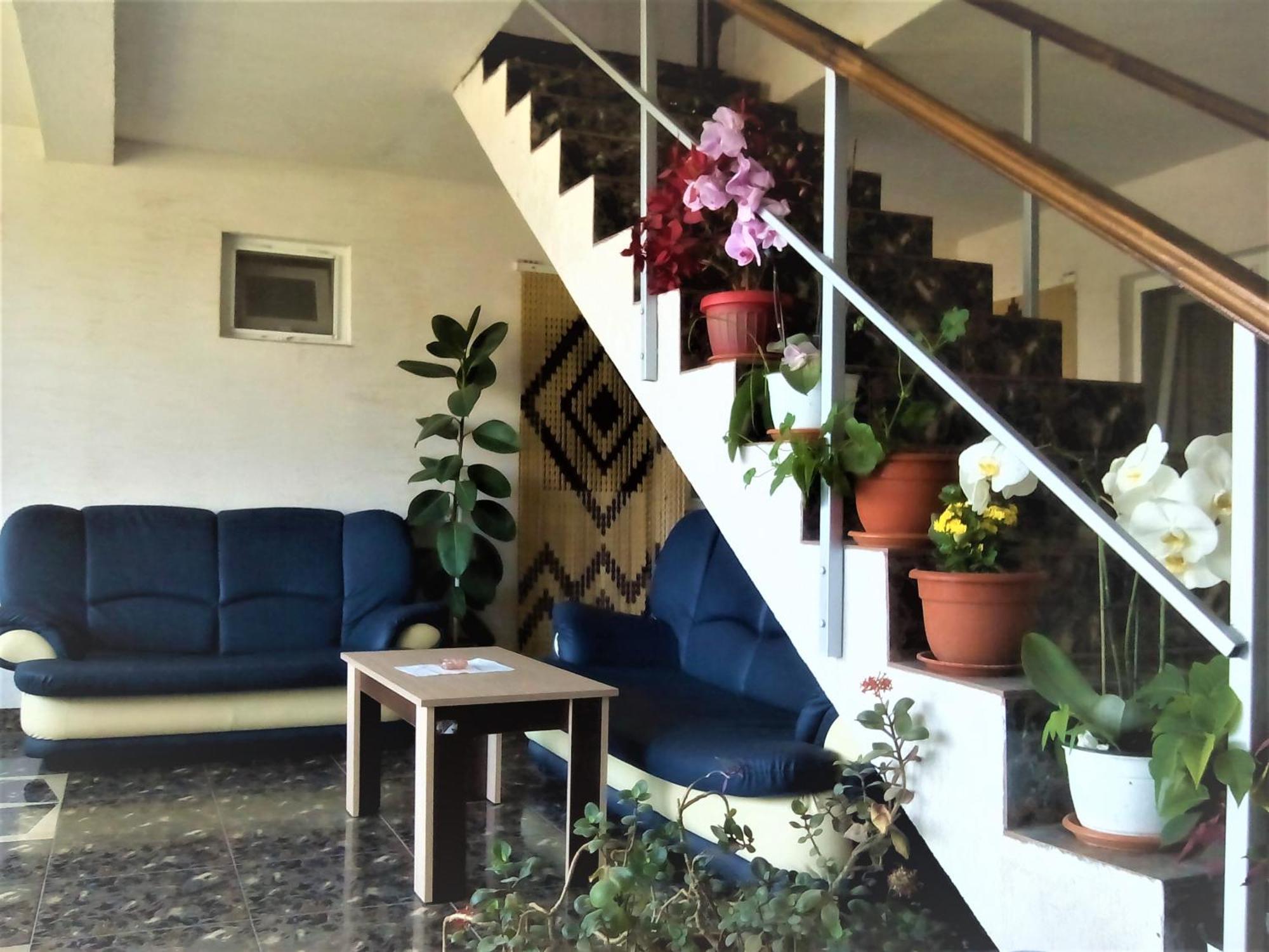 Vila Nico คอสติเนช ภายนอก รูปภาพ